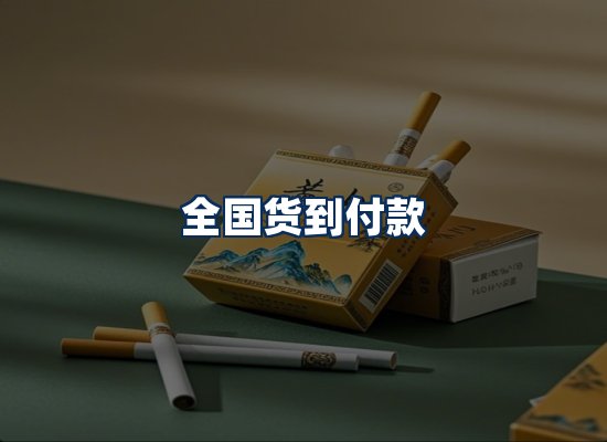 专业团队办公环境